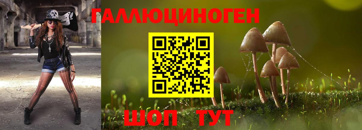 Новокуйбышевск  Псилоцибиновые грибы мухоморы  Вход с VPN 